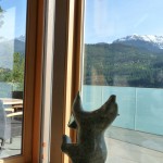 Whistler-2-(2)